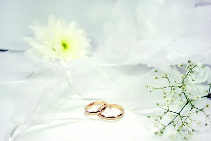 Картинки для презентации свадьбы wedding ideas Titanium wedding, Plan your wedding, Titanium wedding rings