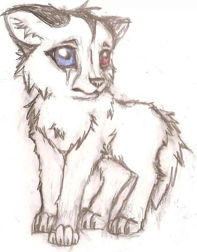 Картинки для срисовки аниме животные crying wolf baby by jamiedogers on DeviantArt Baby animal drawings, Animal drawi