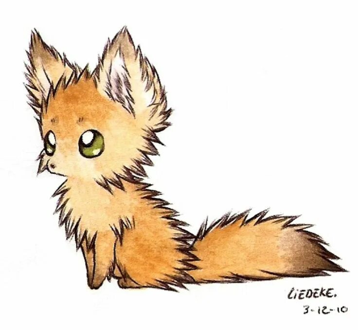Картинки для срисовки аниме животные fluffy fennec fox Animal drawings, Cute animal drawings, Fox drawing