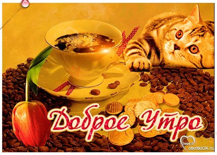 Картинки для вацапа с добрым утром Открытка доброе утро с кофе- Скачать бесплатно на otkritkiok.ru