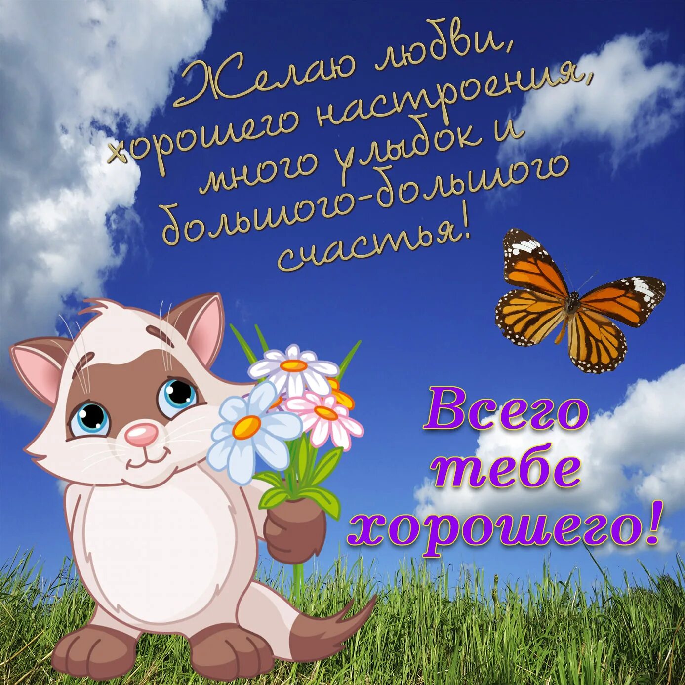 Картинки для ватсап хорошего дня скачать Пожелание Хорошего Прекрасного Волшебного Настроения И Удачного Дня. Позитива. К