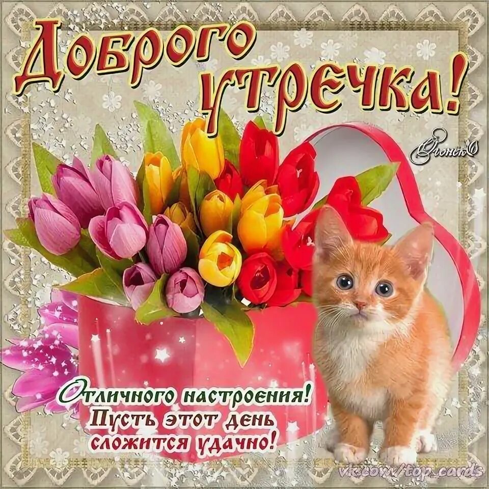 Картинки для ватсап хорошего дня скачать Доброе утро, хорошего дня Открытки