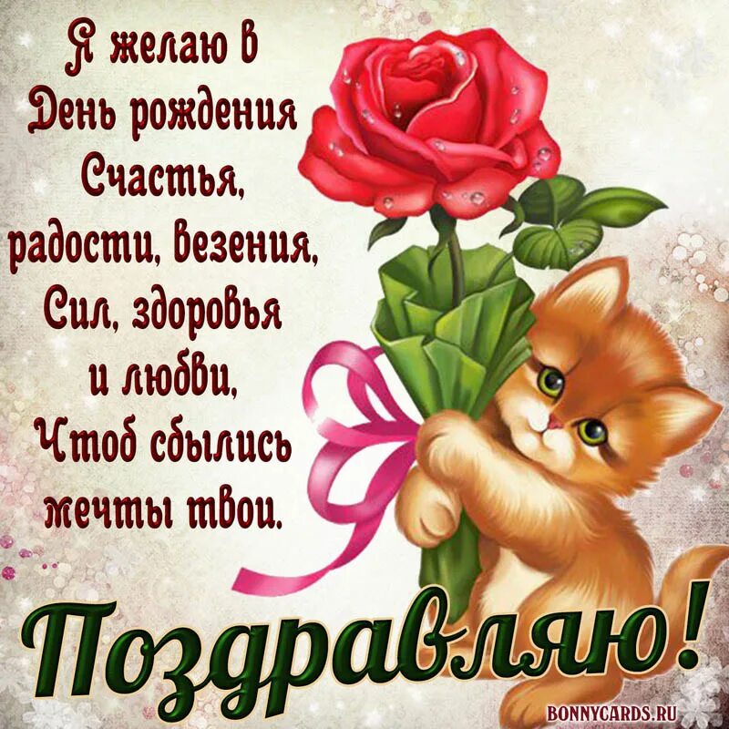 Картинки для ватсапа с днем рождения День рожденья (Надежда Еременко) / Стихи.ру