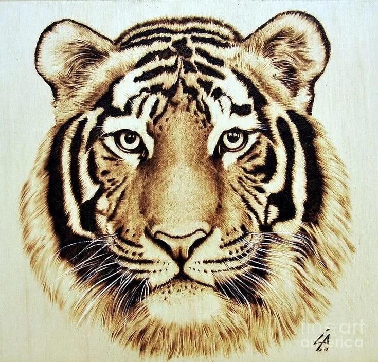 Картинки для выжигания животные pyrography animals - Google Search Wood burning art, Wood burning, Pyrography pa