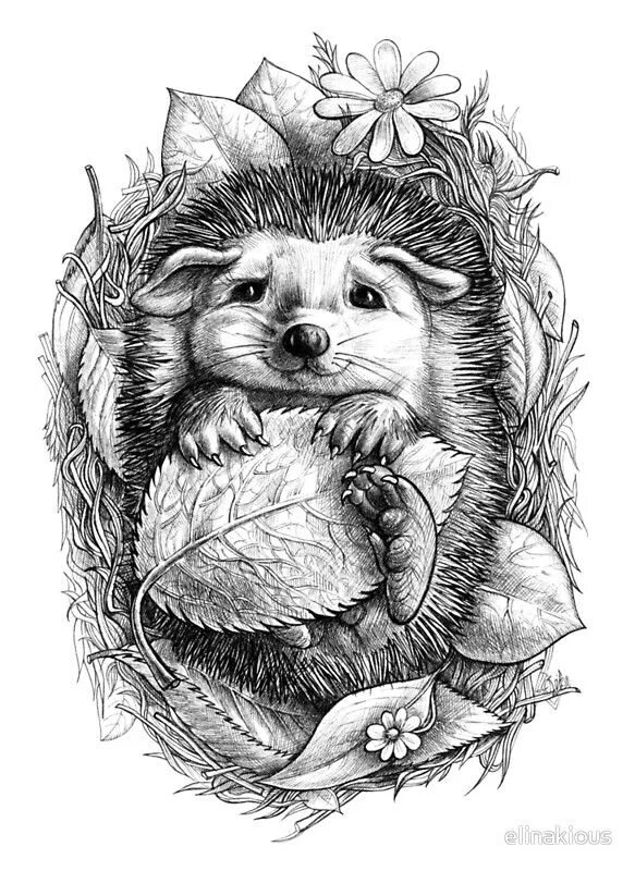 Картинки для выжигания животные Little hedgehog Greeting Card by elinakious Animal drawings, Art drawings, Drawi