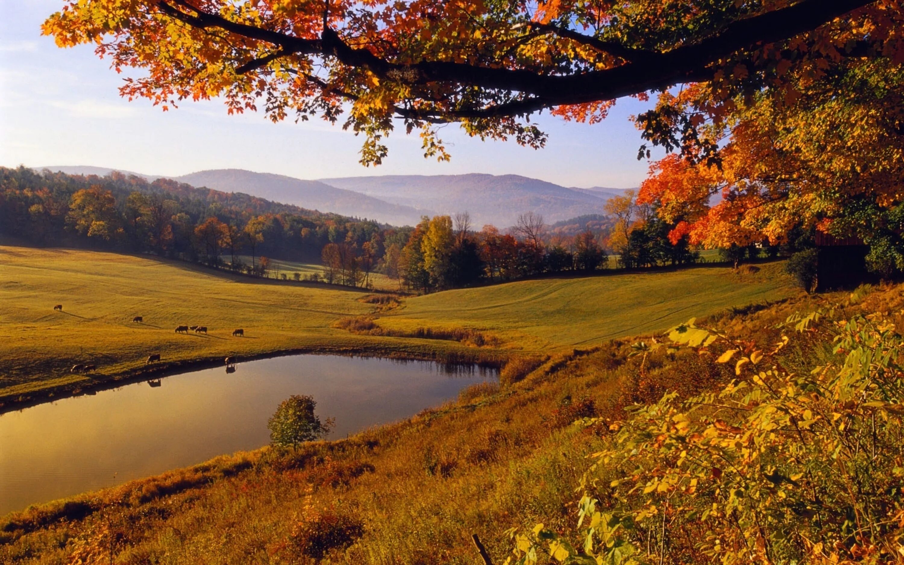 Картинки дня в лучшем качестве autumn-pond - John Knych