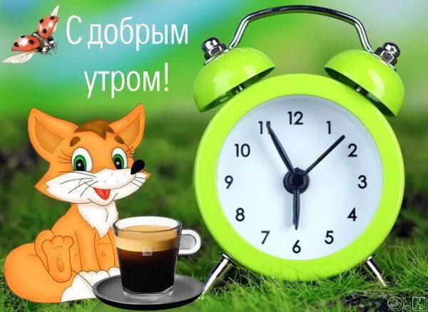 Картинки добра с утра до вечера Открытка Доброе утро