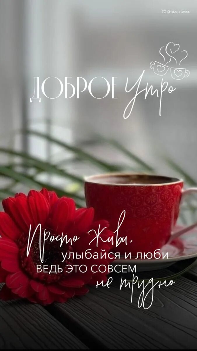 Картинки добро утро 2024 Telegram канал @vibe_stories в 2023 г Доброе утро, Цитаты о любви для него, Люби