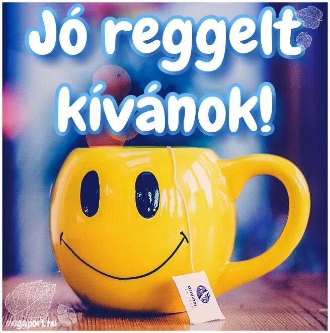 Картинки добро утро на английском Jó reggelt kívánok! - Megaport Media Good morning, Coffee