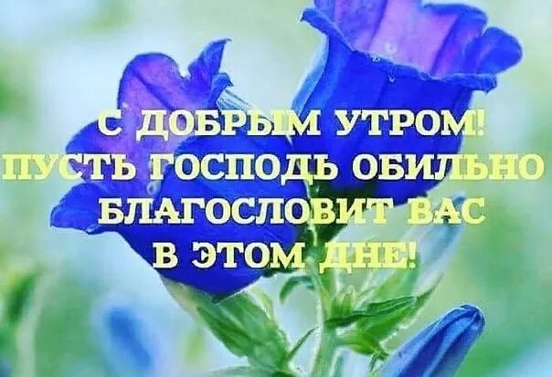 Картинки добро утро с божьим благословением Благословенного утра и дня божьей помощи: найдено 86 изображений