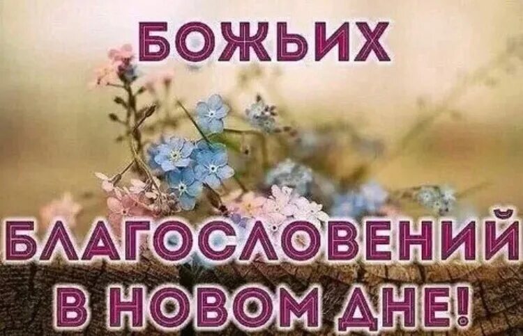 Картинки добро утро с божьим благословением С богом в новый день доброе утро: найдено 90 изображений