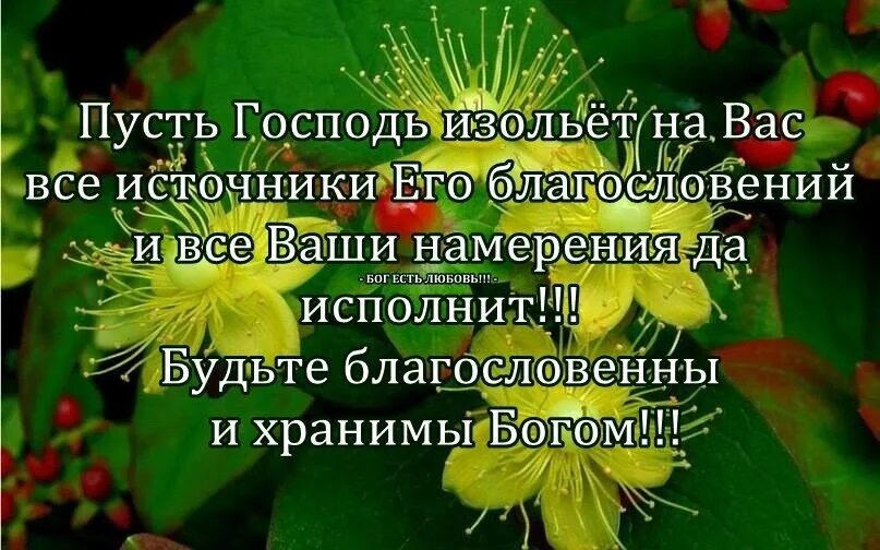 Картинки добро утро с божьим благословением Пусть ваши благие дела: найдено 84 изображений
