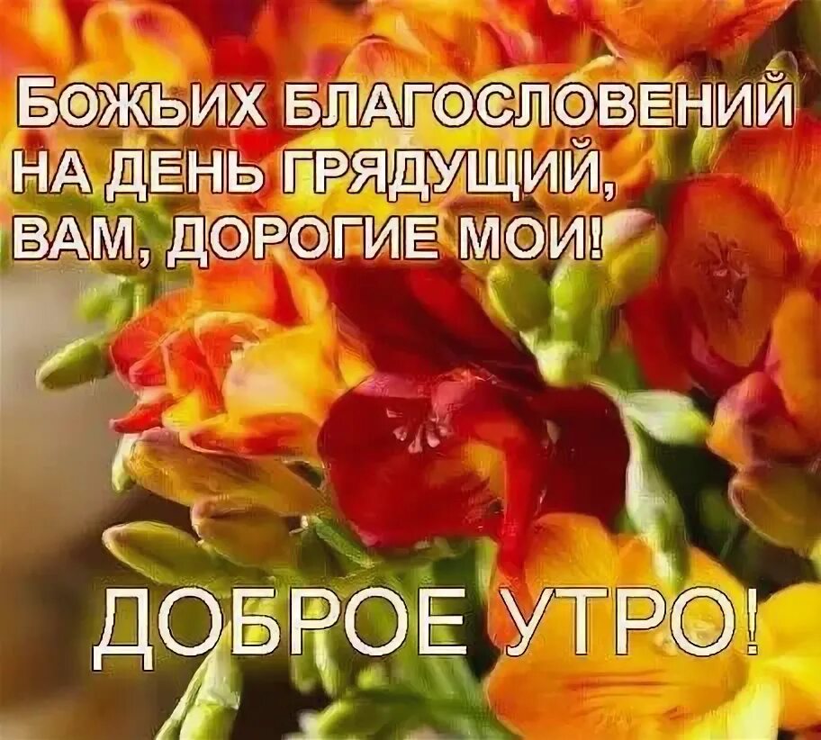 Картинки добро утро с божьим благословением Фото 896567887326 из альбома Разное. Смотрите в группе Группа для бабушек в ОК Д