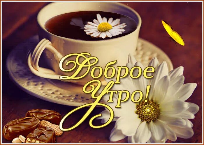 Картинки добро утром скачать бесплатно Открытка доброе утро с ромашкой- Скачать бесплатно на otkritkiok.ru