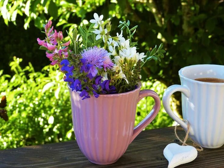 Картинки доброе утро августа красивые бесплатно Free photo Flowers Out Field Flowers Cup Heart Coffee - Max Pixel