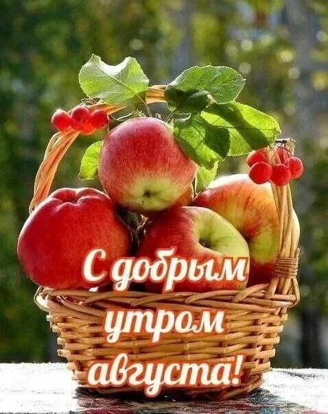 Картинки доброе утро августа красивые бесплатно Pin on Доброе утро Crochet home, Good morning, Apple