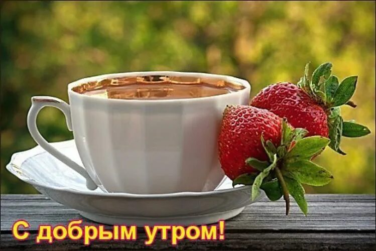 Картинки доброе утро чашка Доброе утро... - Поэзия - 98457 - Tabor.ru