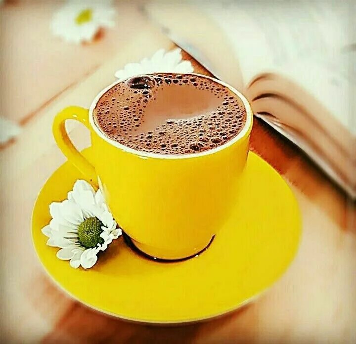 Картинки доброе утро чашка Pin de ꫝ ꪑ ꫀ ꪶ em صور جميـلة Café feliz, Bom dia café, Cha de bebe