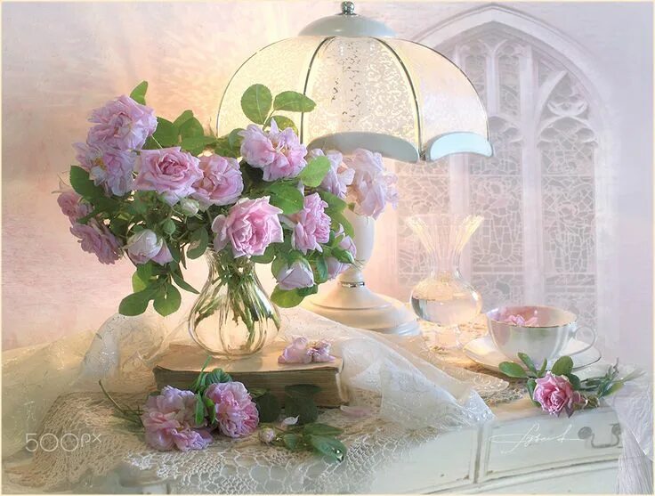 Картинки доброе утро добрый вечер цветы RiL by Луиза Гельтс / 500px Beautiful roses, Rose images, Beautiful flowers