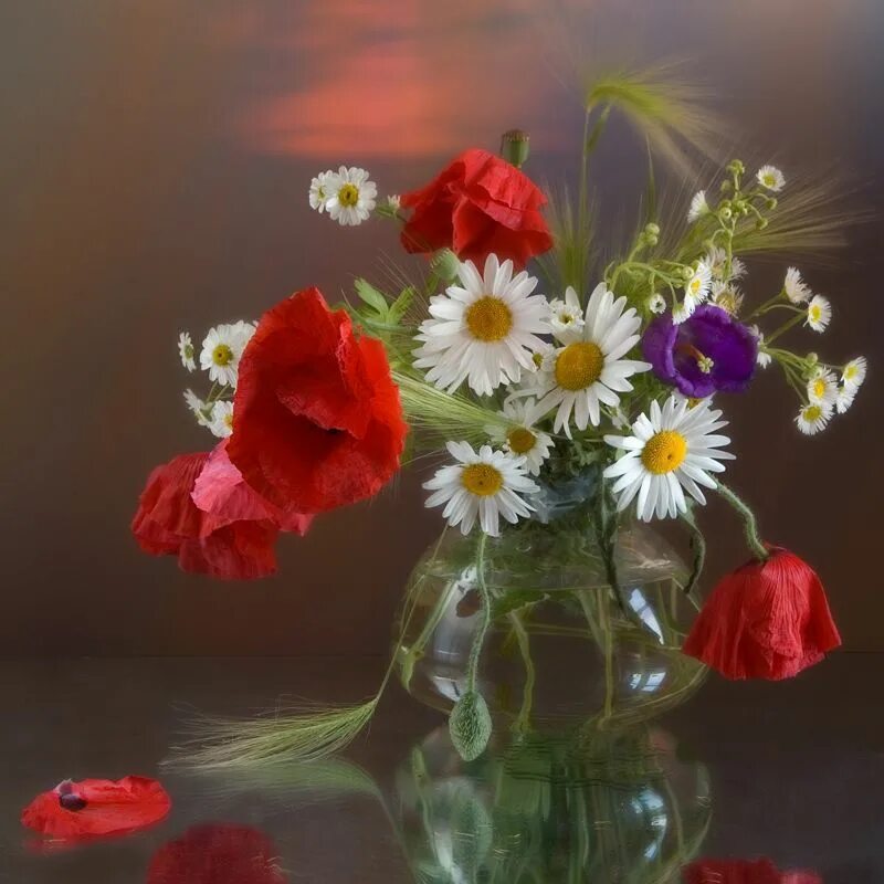Картинки доброе утро добрый вечер цветы Flowers 96 Flower pots, Beautiful flower arrangements, Beautiful flowers