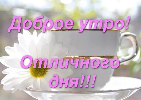 Картинки доброе утро доченька хорошего дня С добрым утром,ДРУЗЬЯ!!! Утро прекрасное в двери стучится, пусть лишь хорошее с 