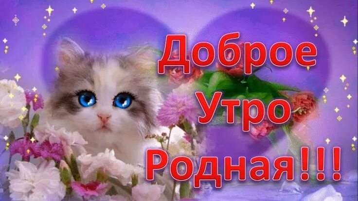 Картинки доброе утро доченька хорошего дня Пин от пользователя Римма на доске ЛЮБОВЬ! ❤ Доброе утро, Забавные фото, Картинк