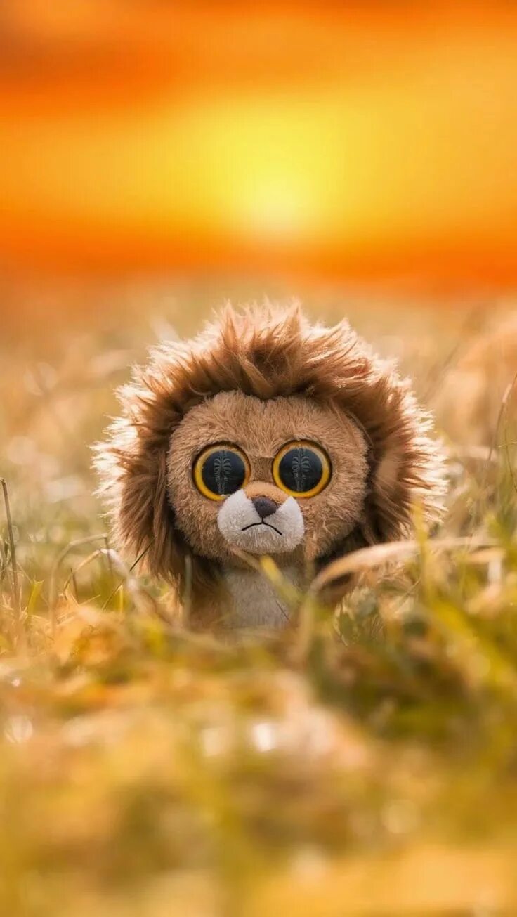 Картинки доброе утро группа прикольные ржачные группа Pin by Linds Pins on Heart Melting Cute stuffed animals, Animals, Owl