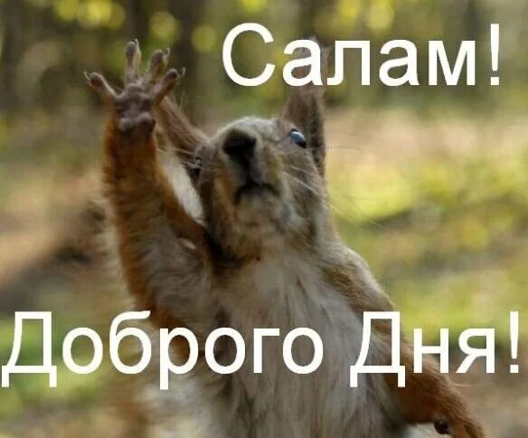 Картинки доброе утро группа прикольные ржачные группа Открытка Салам доброго дня