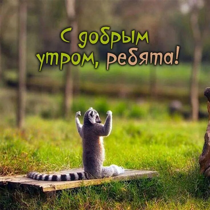 Картинки доброе утро группа прикольные ржачные группа Открытки с добрым утром стране, группе и всем Доброе утро, Смешные таблички, Кар