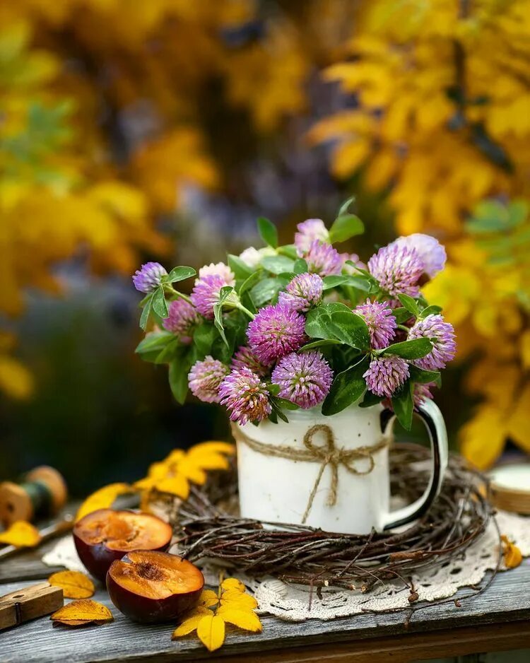 Картинки доброе утро хорошего дня красивые сентябрьское Stilllife_Nature_Outdoors у апликацији Instagram: "Добрый вечер, друзья! Делюсь 