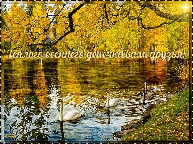 Картинки доброе утро хорошего дня осенние природа Теплого Осенние картинки, Осенний день, Доброе утро