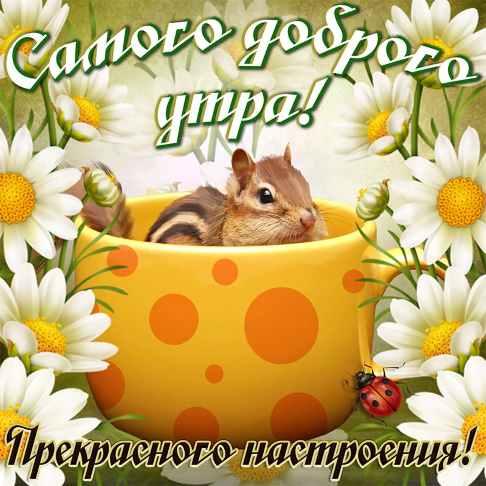Картинки доброе утро хорошего дня прикольные новые Доброе утро пожелания позитивного дня: найдено 86 изображений