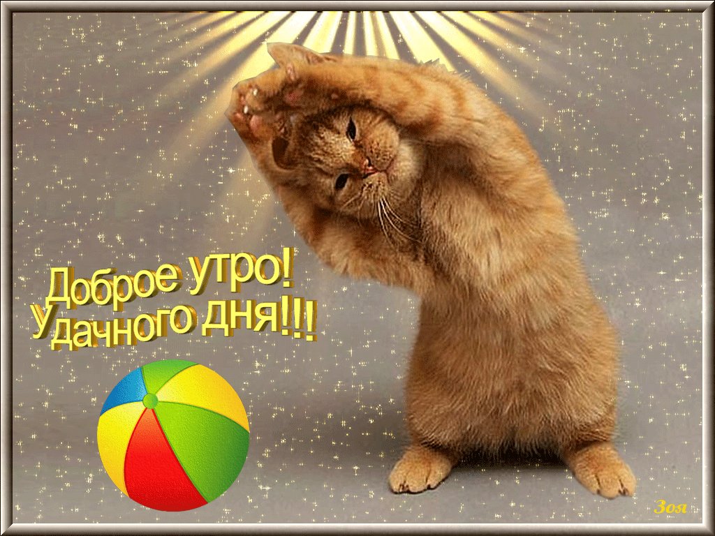 Картинки доброе утро хорошего дня прикольные новые SmartProgress - View Blog