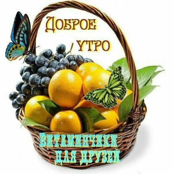 Картинки доброе утро хорошего дня с овощами Пин от пользователя Эмма Близнюк на доске Доброе утро в 2020 г Христианские карт