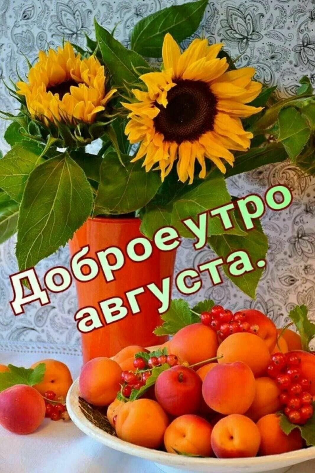 Картинки доброе утро хорошего дня с овощами Пин на доске ДОБРОЕ УТРО Доброе утро, Утро четверга, Утренние цитаты