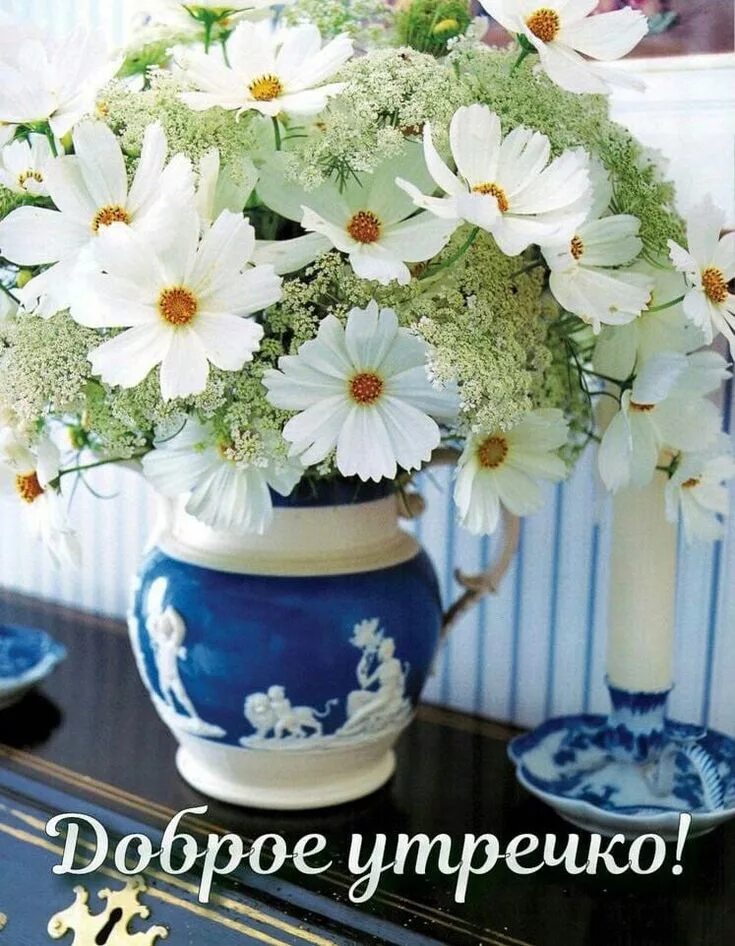 Картинки доброе утро хорошего дня цветы Pin em Pinterest. Mensagens