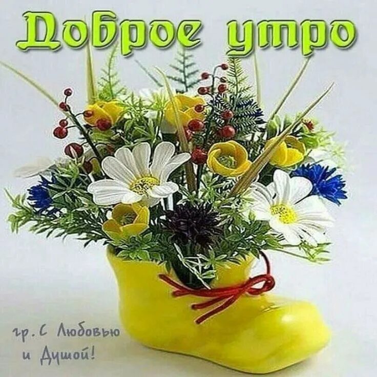 Картинки доброе утро хорошего дня цветы Лена б-ка Цветочные поделки, Цветочные композиции, Современные цветочные компози
