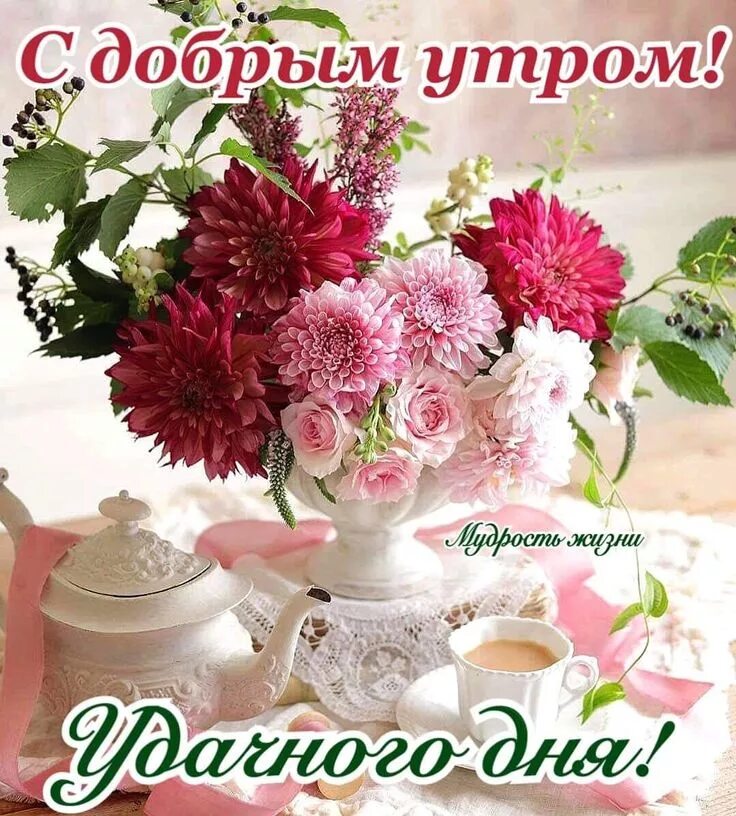 Картинки доброе утро хорошего дня цветы Пин от пользователя Света Плюта на доске Доброе утро Доброе утро, Веселые картин