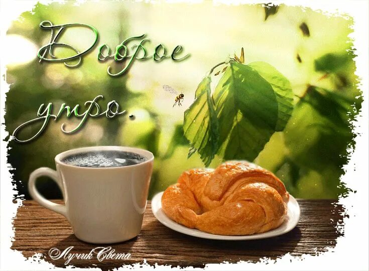 Картинки доброе утро хорошего гифки Мир авторской анимации gif Coffee images, Beautiful gif, Good morning