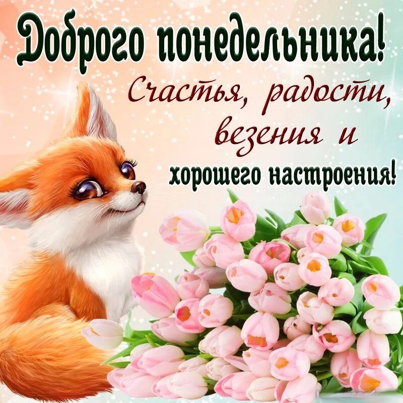 Картинки доброе утро хорошего настроения понедельник Доброго понедельника! 2023 Красивые открытки и поздравления с праздниками ВКонта