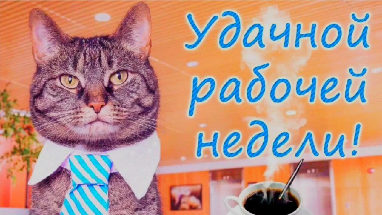 Картинки доброе утро хорошей недели прикольные УДАЧНОЙ РАБОЧЕЙ НЕДЕЛИ! #доброеутро #сдобрымутром #открыткисдобрымутром - YouTub