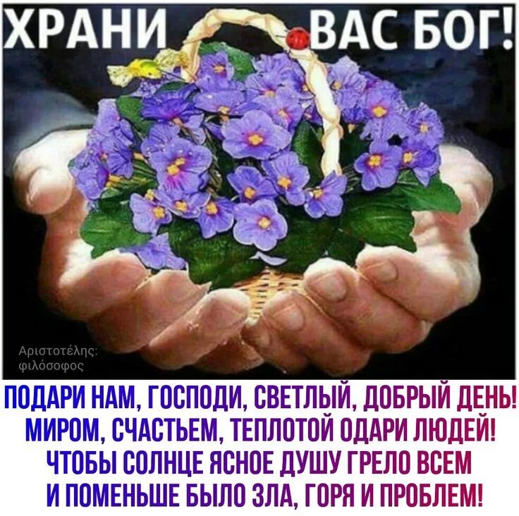 Картинки доброе утро храни вас господь красивые Пин на доске открытка Букет на день рождения, Благословение, Бог