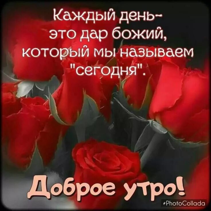 Картинки доброе утро храни вас господь красивые Пин от пользователя Лариса Волкова на доске Доброе утро Доброе утро, Христиански