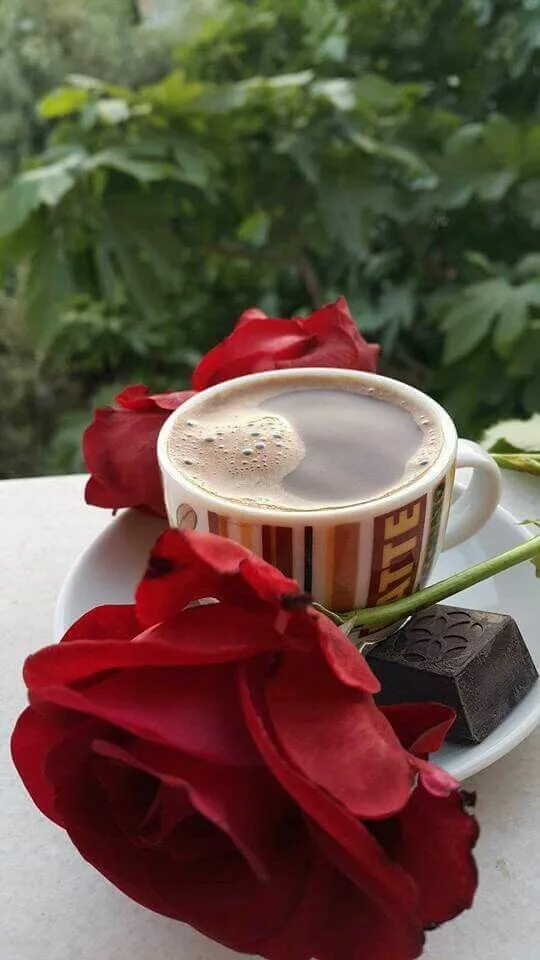 Картинки доброе утро кофе и цветы красивые Pin by Mo Ali on I ❤ ️Coffee !!! Coffee breakfast, Good morning coffee, Coffee ti
