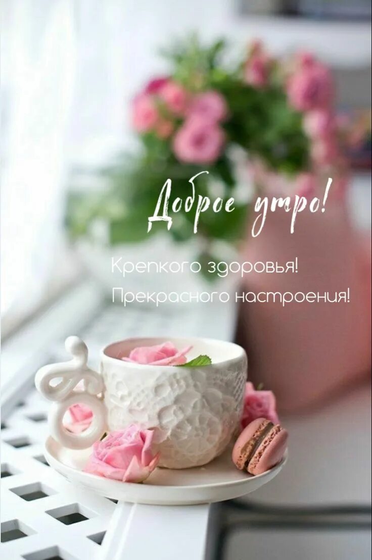 Картинки доброе утро красивые необычные оригинальные нежные Доброе утро in 2023 Bloom, Breathe