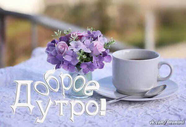 Картинки доброе утро красивые новые свежие Pin by ♡ Irina ♡ on Guten morgen und schönes Wochenende Glassware, Mugs, Tablewa