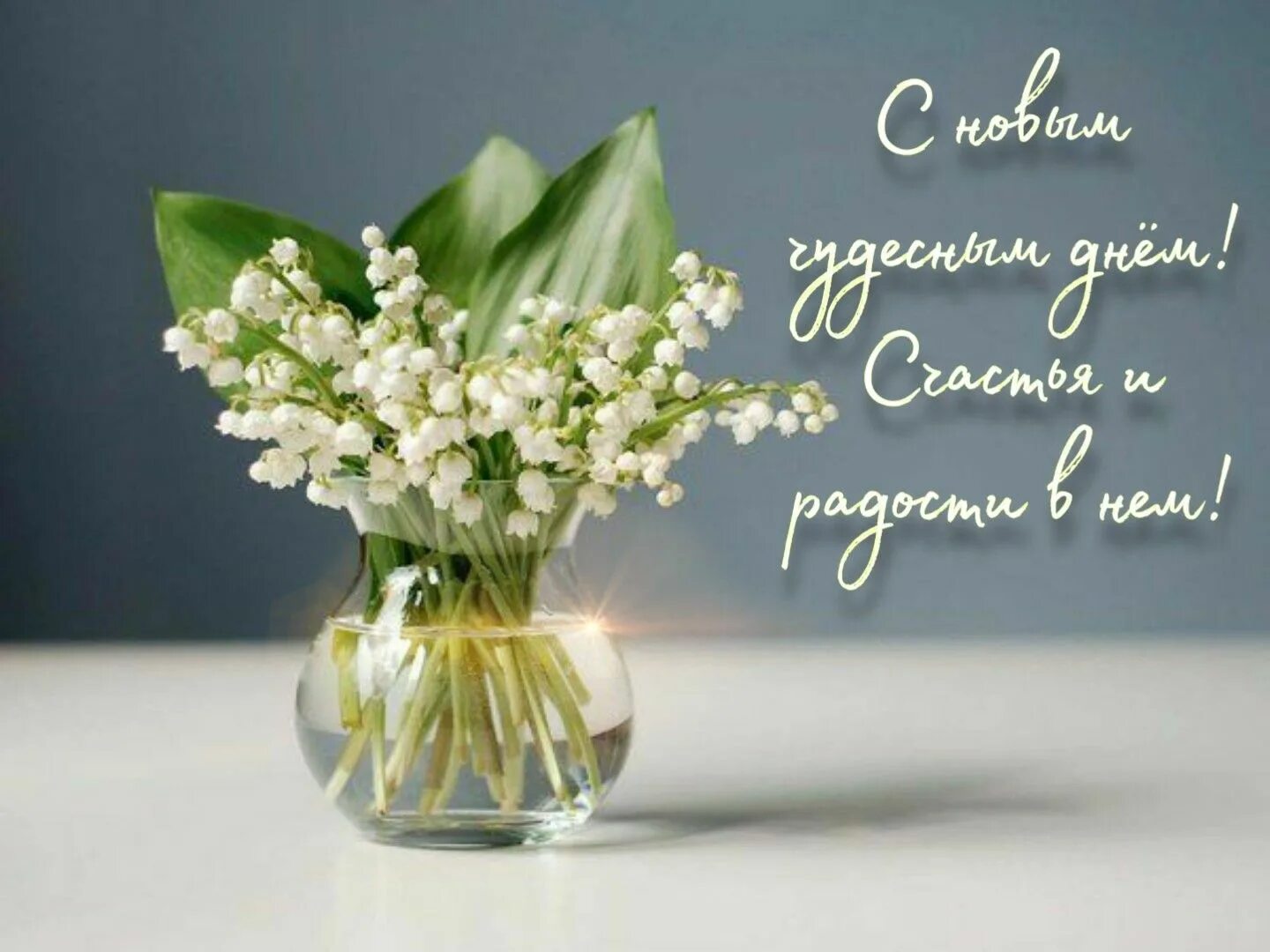 Картинки доброе утро ландыши с пожеланиями Доброе утро ландыши цветы Place card holders, Cards, Glass vase