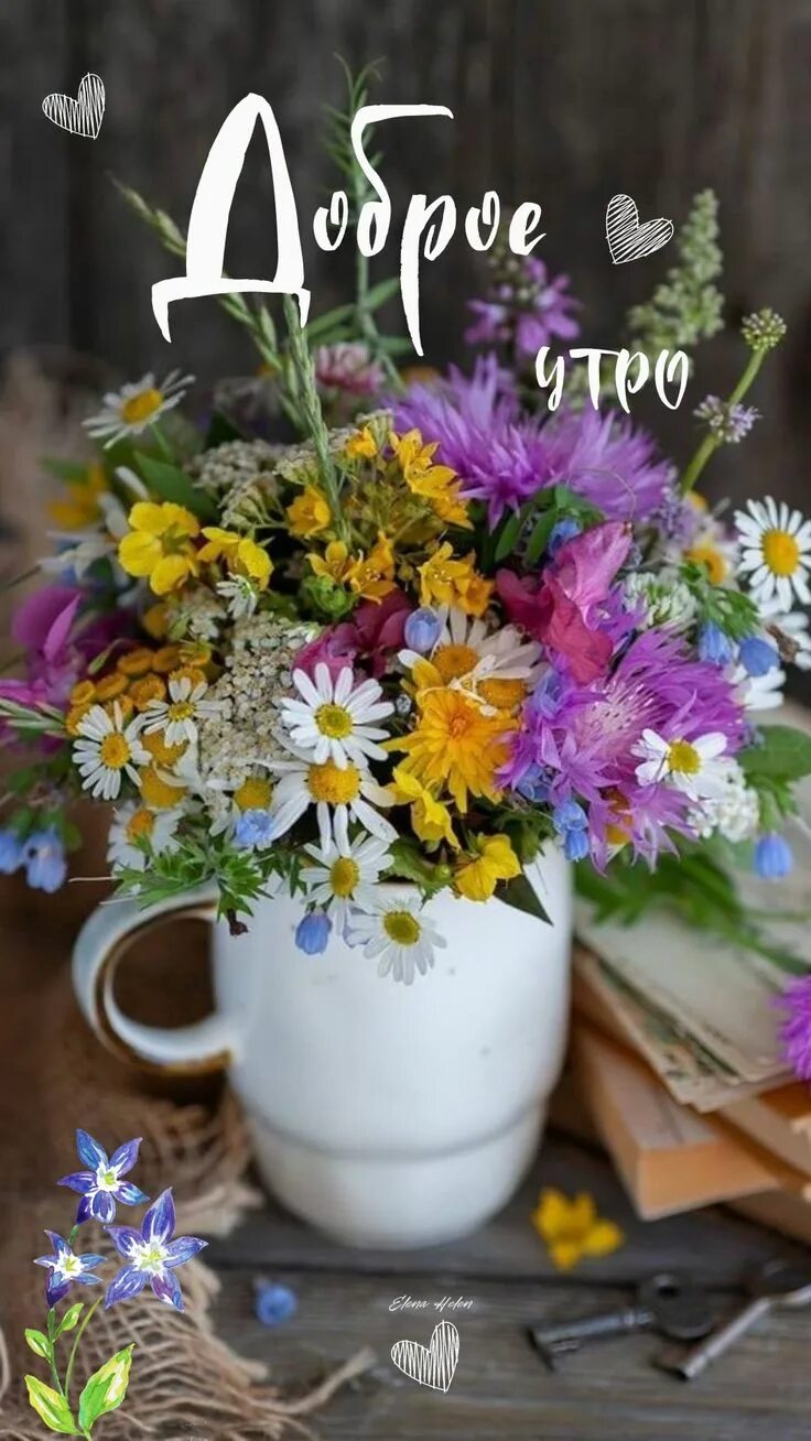 Картинки доброе утро летний день Доброе утро. Beautiful flowers, Beautiful flowers pictures, Good morning images 
