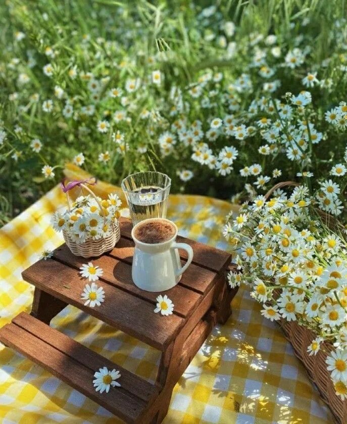 Картинки доброе утро лето Good Mood в 2023 г Утренний кофе, Пикник, Винтажные фотоаппараты