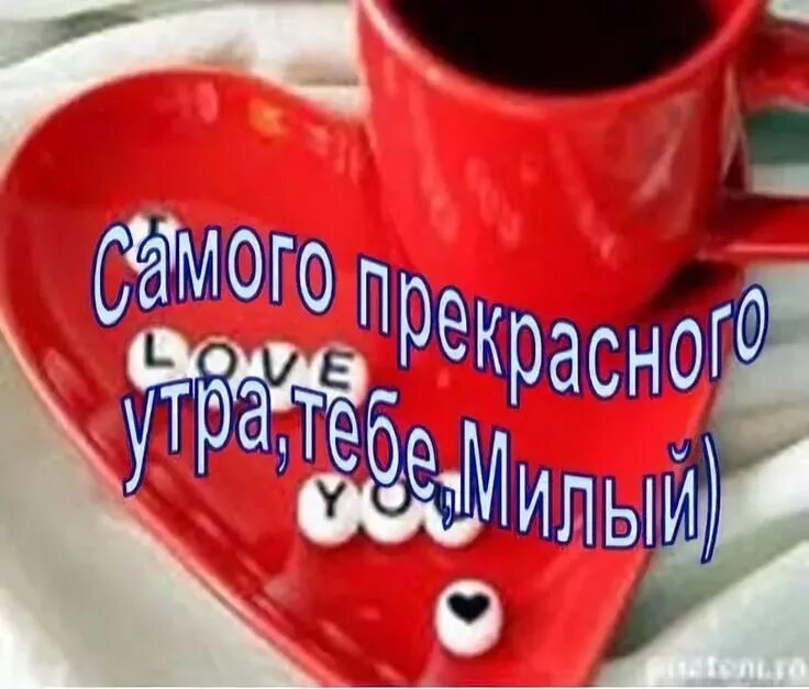 Картинки доброе утро любимый бесплатно доброе утро любимый своими словами: 14 тыс изображений найдено в Яндекс.Картинка